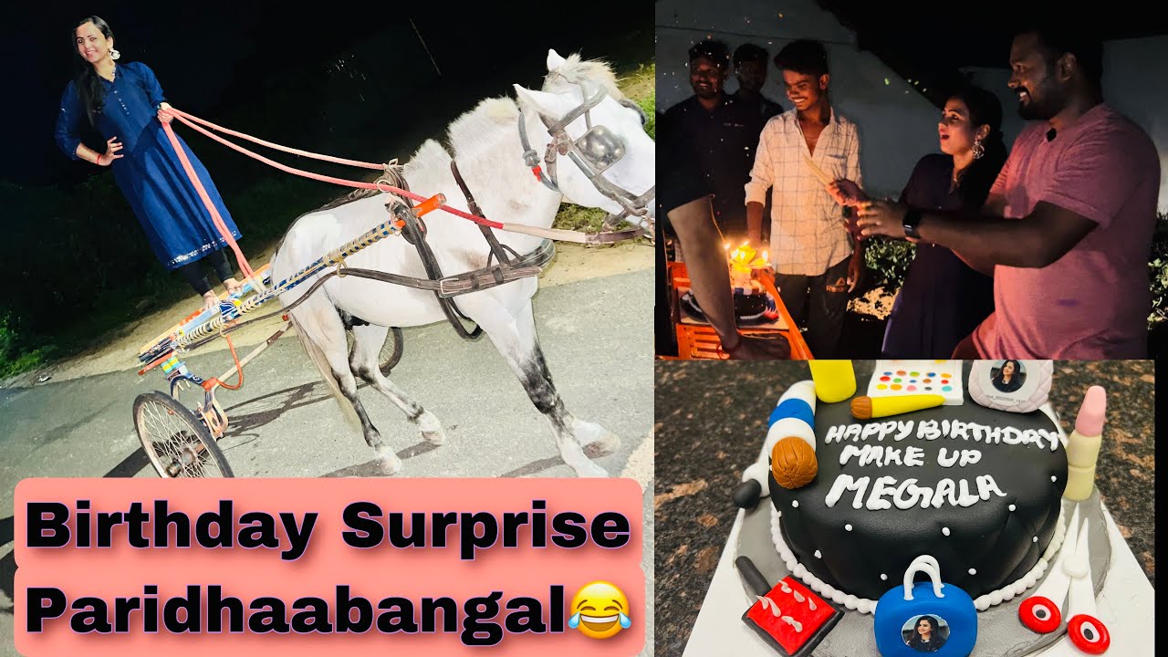 Manimegalai Bday Celebration at Village 🎉 Horse Surprise Gift 🤩 Hussain Manimegalai