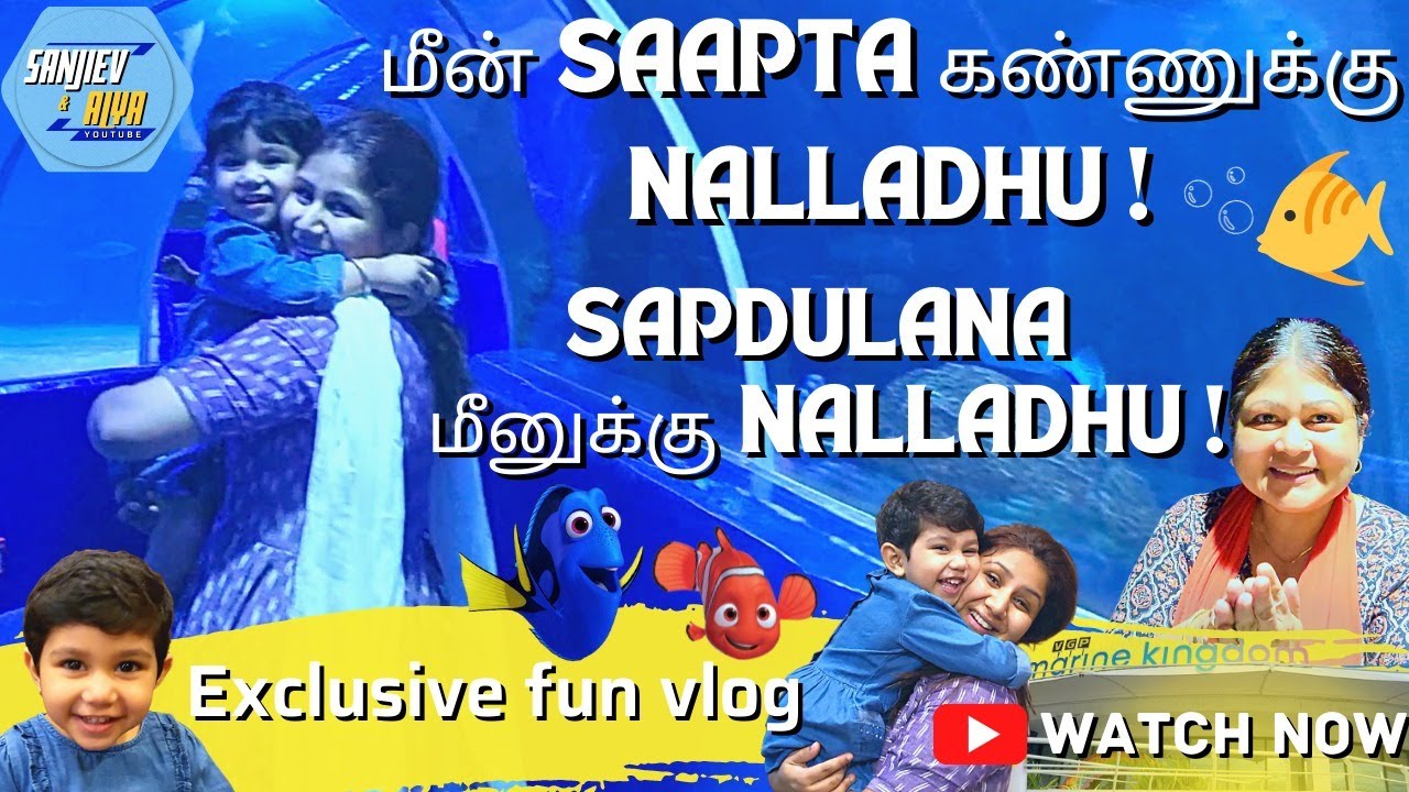 மீன் Saapta கண்ணுக்கு Nalladhu ! Sapdulana மீனுக்கு Nalladhu | Exclusive Video