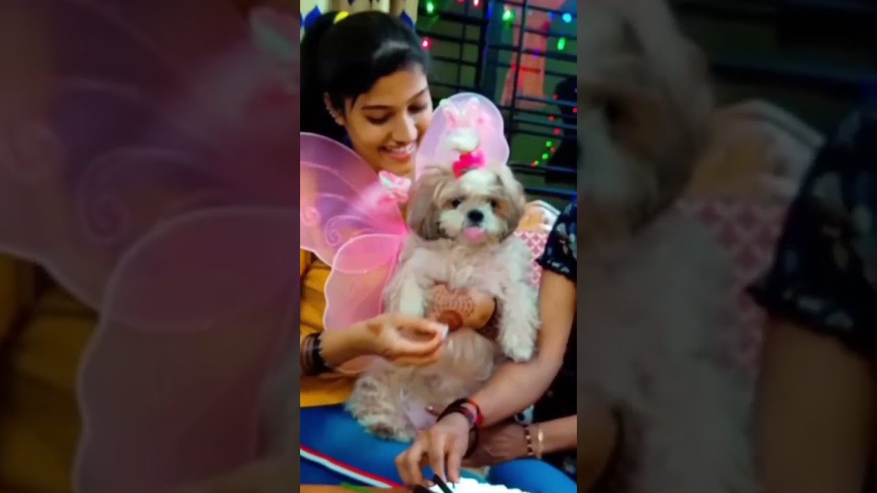 எங்க Bobby-க்கு Birthday Celebration❤️ | Sidhu & Shreya #shorts