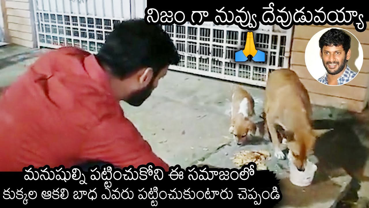 Hero Vishal Feeding Food To Street Dogs At Movie Shooting Place | News Buzz