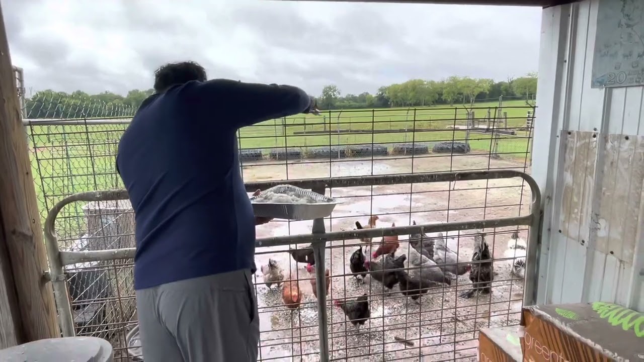 நம் கடமைகளில் ஒன்றாக கருதி செல்லமாக வளர்க்கும்  நம் பிராணிகளுக்காக சிறிது நேரம் செலவிடுவோம்..!