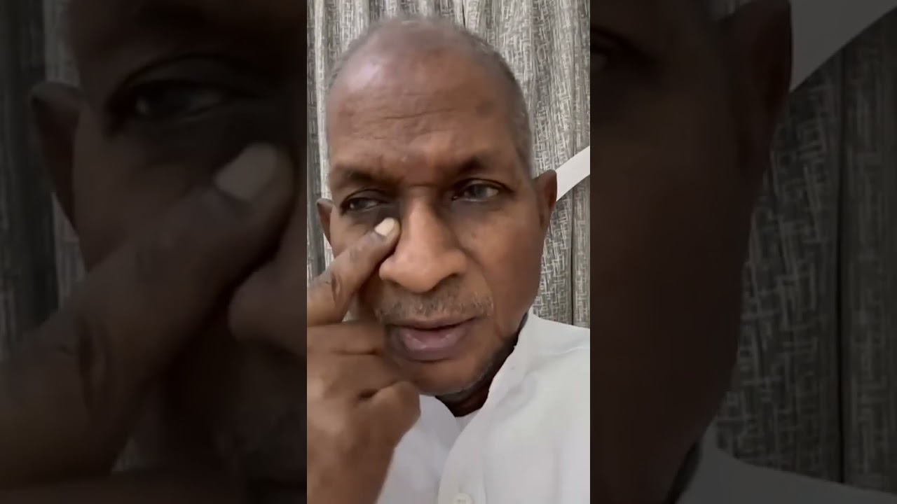 ilayaraja video