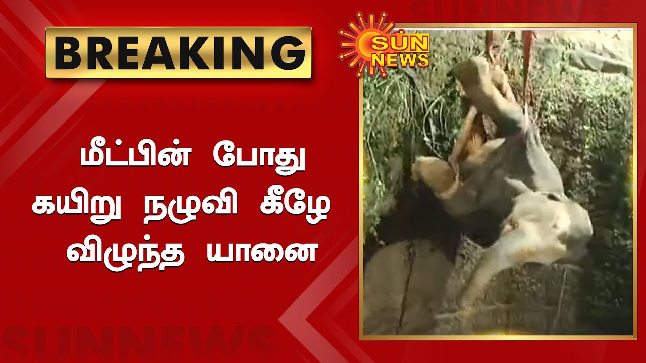 கிணற்றுக்குள் விழுந்த குட்டி யானை மீட்பு; பரபரப்பான நிமிடங்கள் | Elephant rescued | Sun News