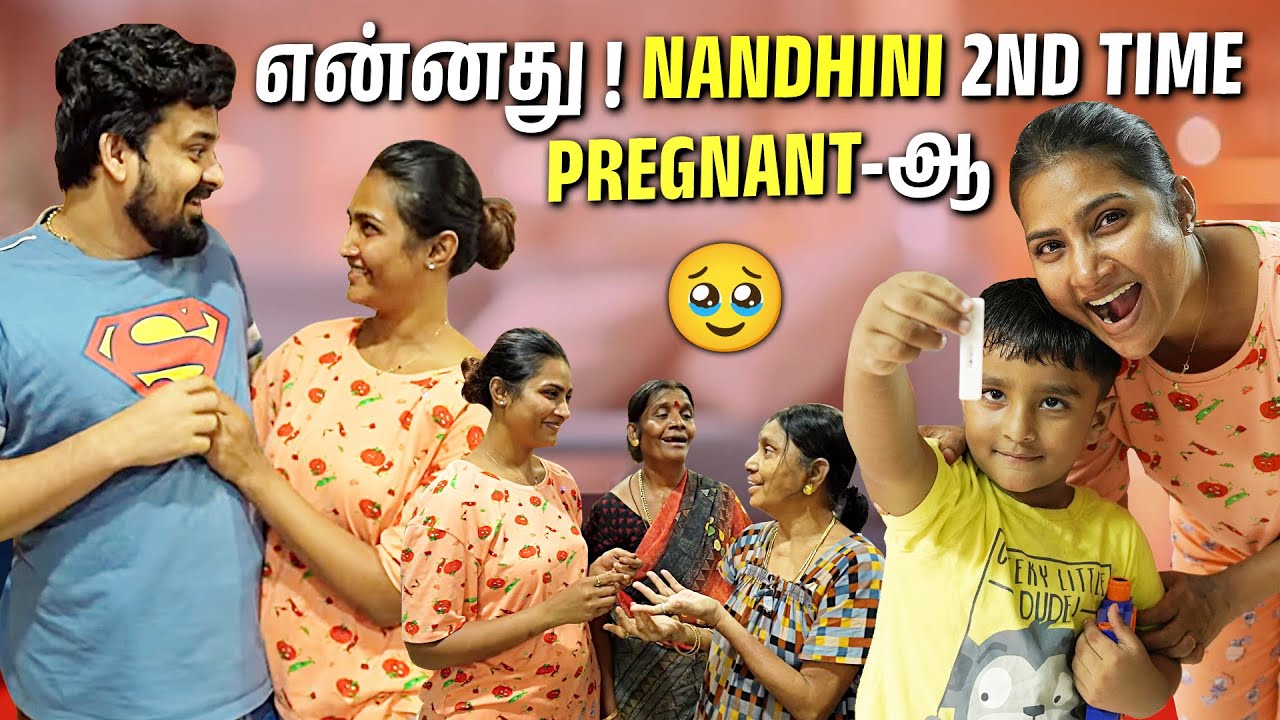 என்னது! Nandini 2nd Time Pregnant-ஆ👀 | Yogi Shocked😳 | Myna Wings