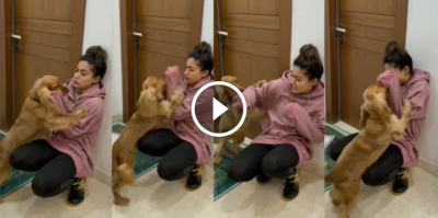 நாயுடன் சண்டை கட்டிய ராஷ்மிக்கா! கடிச்சு குதறிய நாய்! Rashmika Playing With Her Dog Cute Video 9