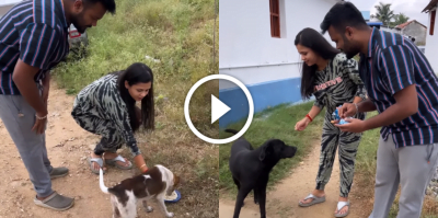 "இந்தா செல்லம்! பிஸ்கட் சாப்பிடு!" தெருநாயிடம் செல்லமாக கொஞ்சி விளையாடிய மணிமேகலை! Manimegalai Feeding Dogs 7