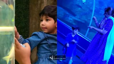 AILA & ARSH-ஐ FISH PARK கூட்டி சென்ற ஆல்யா சஞ்சீவ்.. 19