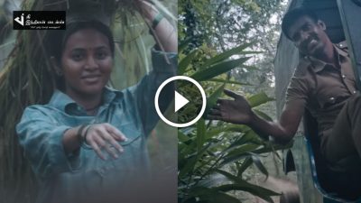 விடுதலை படத்தின் காட்டுமல்லி VIDEO பாடல் வெளியாகியது 98