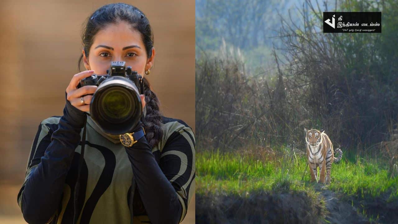 புலியை நேருக்கு நேர் நின்று போட்டோ எடுக்கும் அந்நியன் பட நாயகி சதா