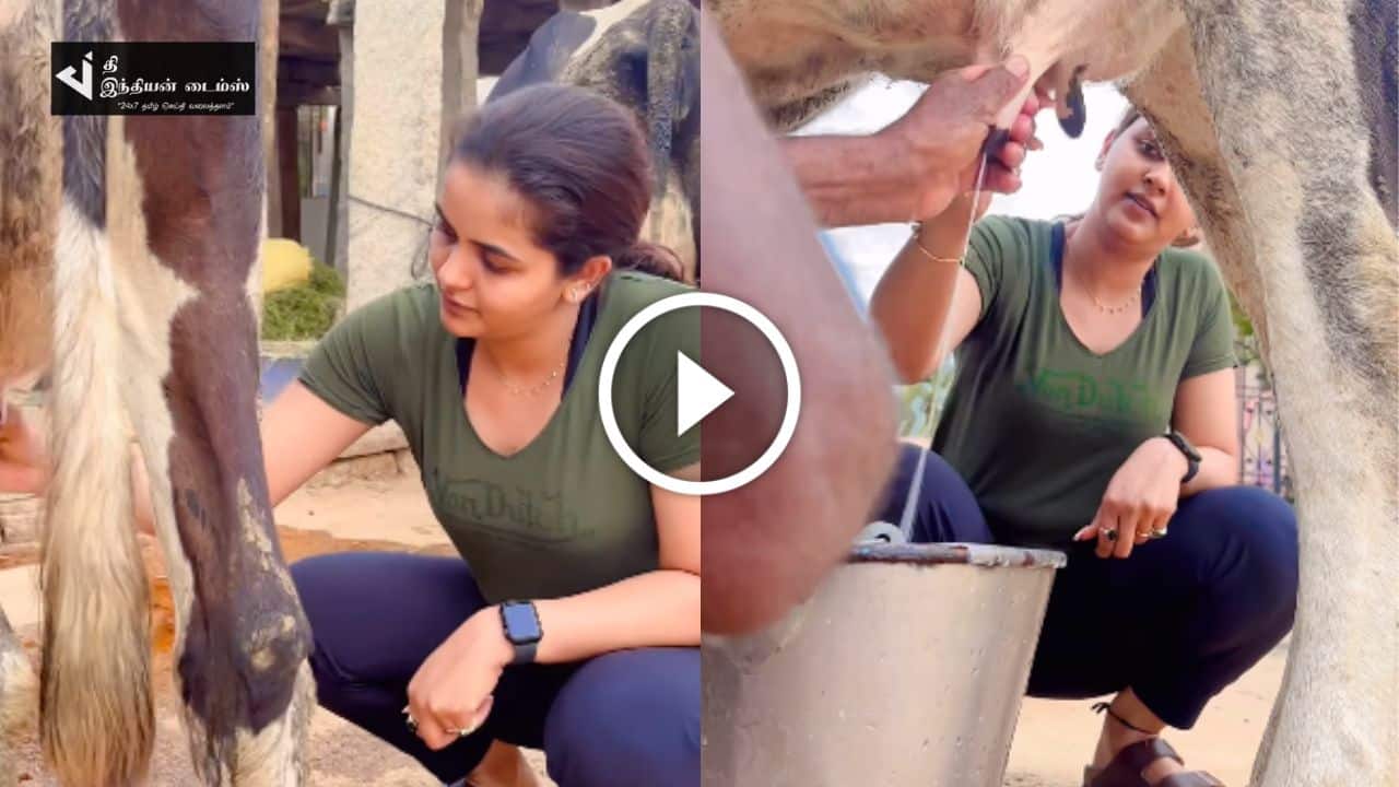 சொந்தமாக மாட்டு பண்ணை வைத்து தொழில் தொடங்கிய கயல் சீரியல் சைத்ரா ரெட்டி