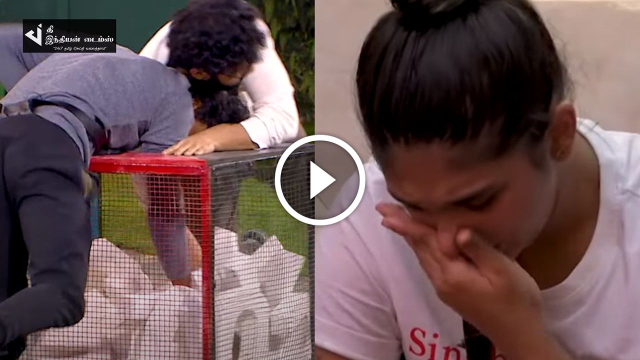 TASK-ல் அடித்துக்கொண்டு உருளும் பிக் பாஸ் போட்டியாளர்கள்…. பிக் பாஸ் ப்ரோமோ