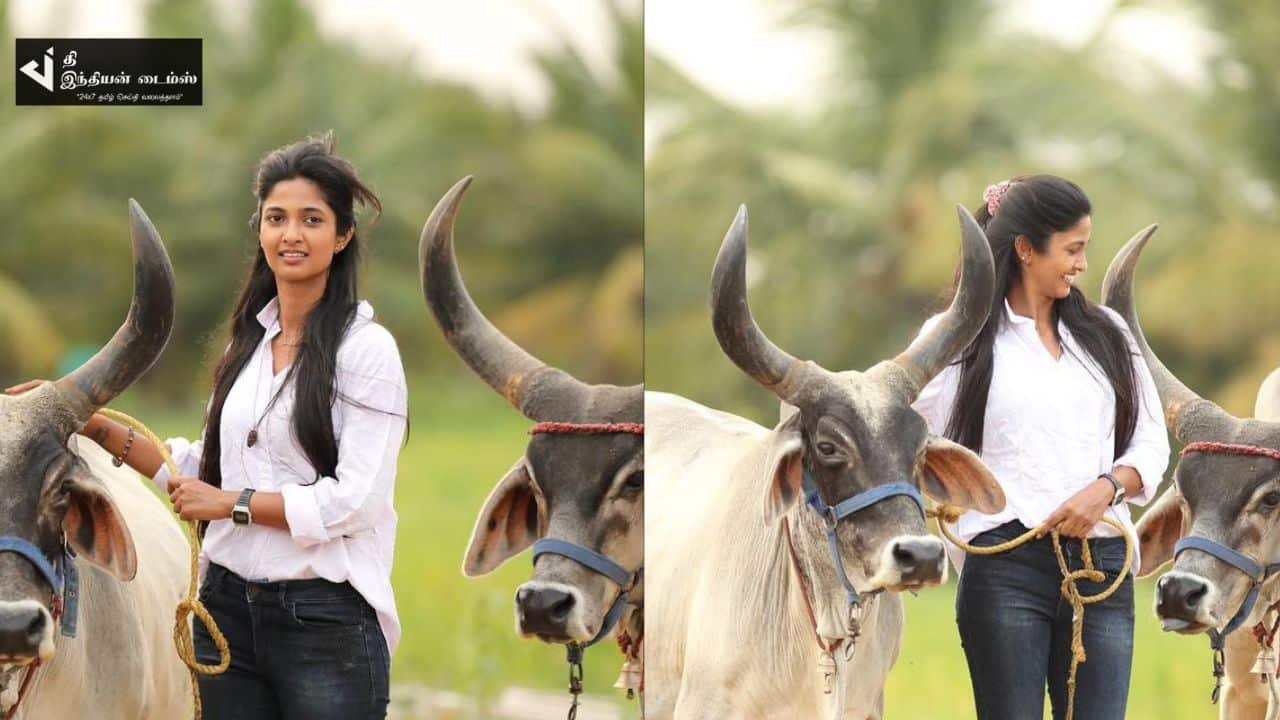 கிராமத்தில் மாட்டுப்பண்ணை வைத்து நடத்தி வரும் நடிகை கீர்த்தி பாண்டியன்