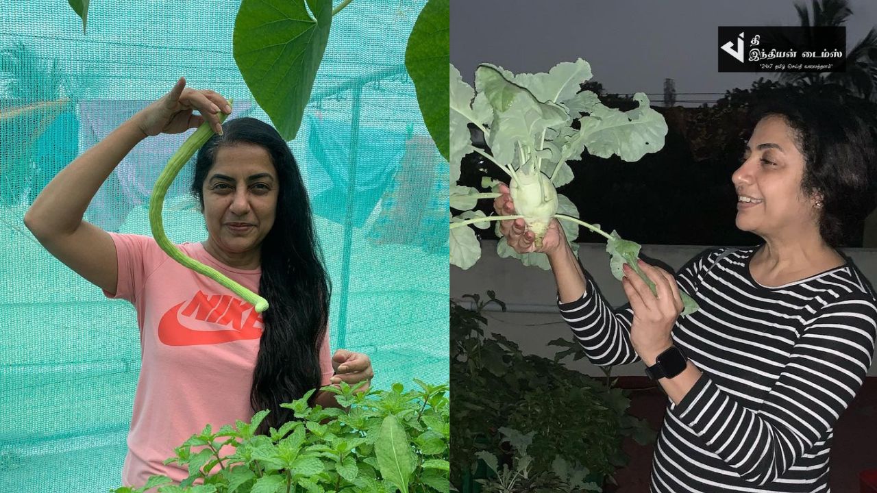 இயக்குனர் மணிரத்தினம் வீட்டு மாடித்தோட்டம் – விவசாயம் செய்யும் நடிகை சுஹாசினி