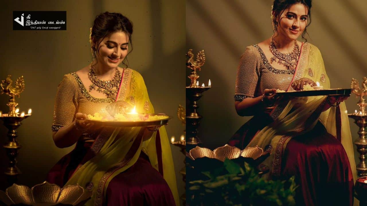 விளக்கு ஒளியில் ஜொலிக்கும் நடிகை சினேகாவின் அழகிய புகைப்படங்கள்