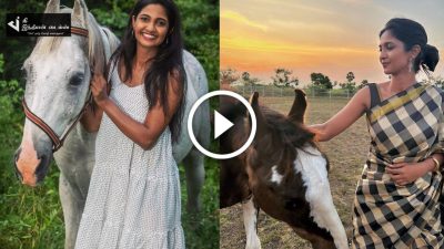 நடிகை கீர்த்தி பாண்டியன்.. குதிரை வளர்ப்பில் கெத்து காட்டும் திருநெல்வேலி பொண்ணு 62