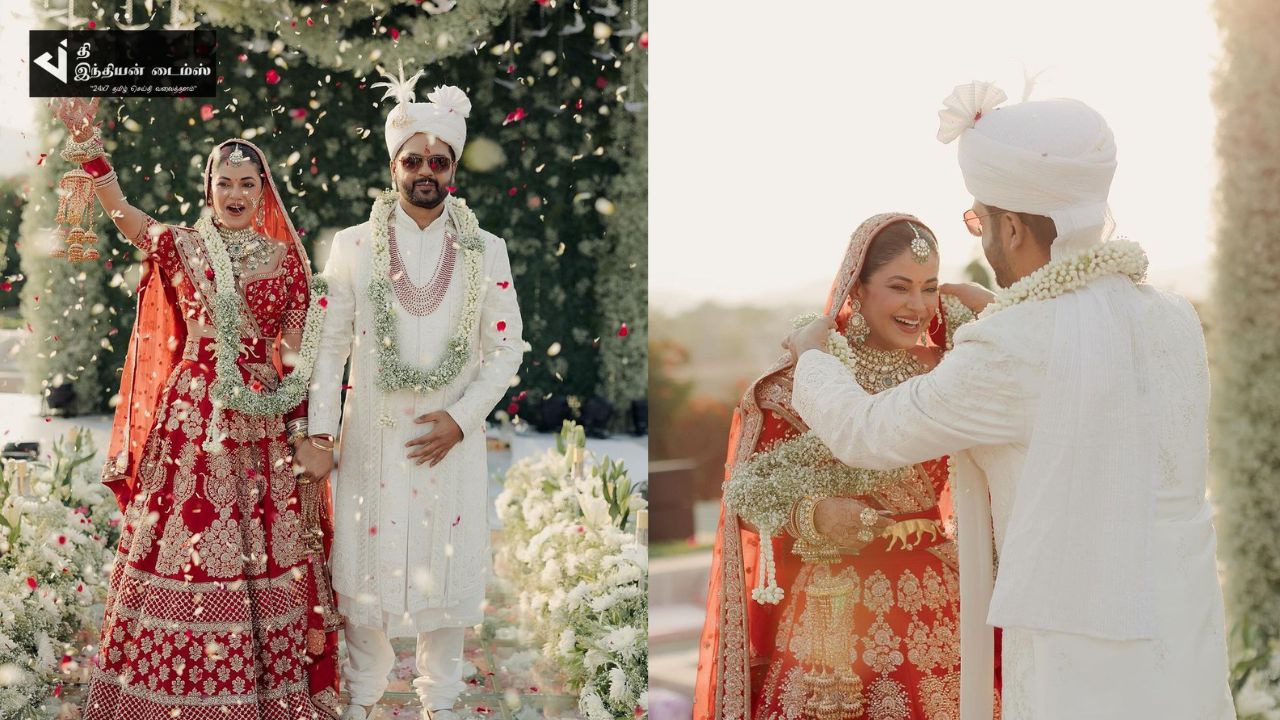 40வயதில் திருமணம் செய்த அன்பே ஆருயிரே பட நாயகி மீரா