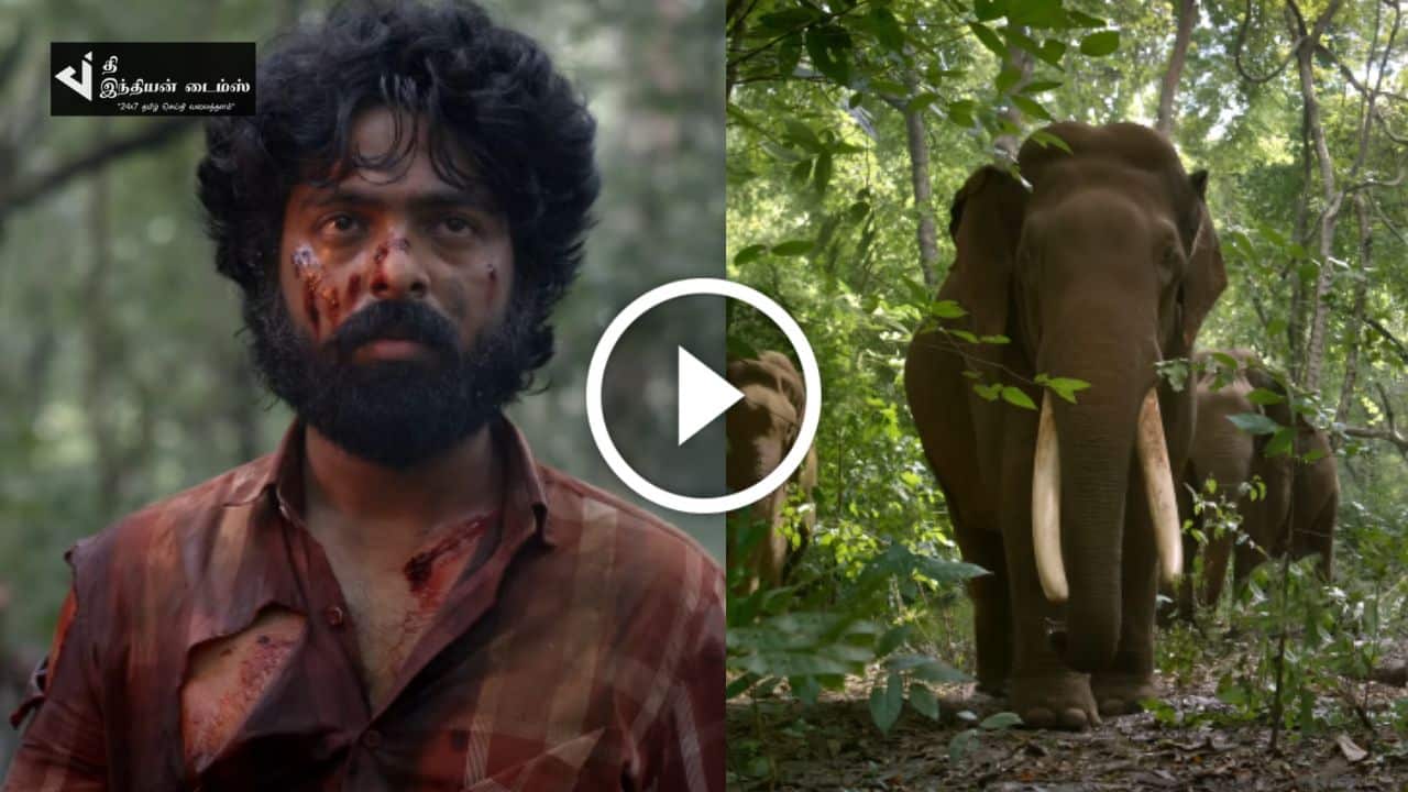 யானையுடன் நேருக்கு நேர் மோதும் GV பிரகாஷ்.. கள்வன் படத்தின் ட்ரைலர் வெளியாகியது