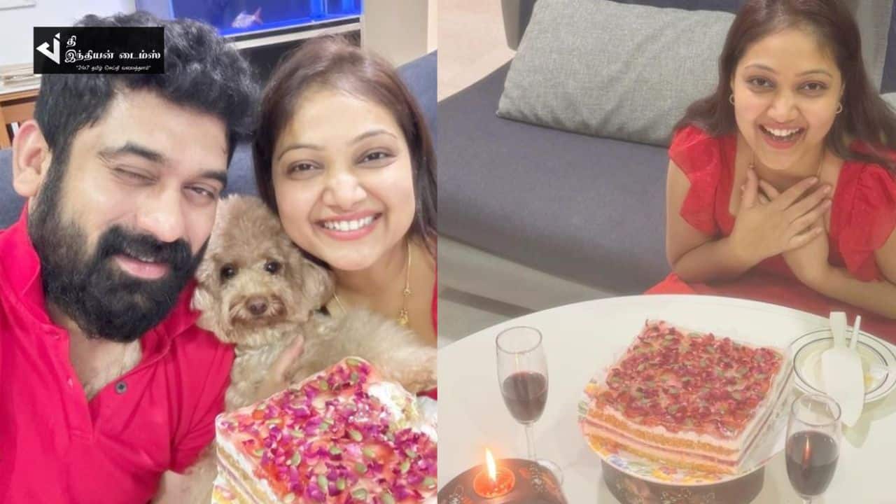 கணவருடன் மீண்டும் இணைந்த ரோஜா சீரியல் நாயகி… பிறந்தநாள் கொண்டாட்டம்