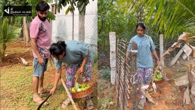 சொந்த தோட்டத்தில் மனைவி கன்னிகா உடன் பராமரிப்பு பணிகளை மேற்கொள்ளும் சினேகன் 6