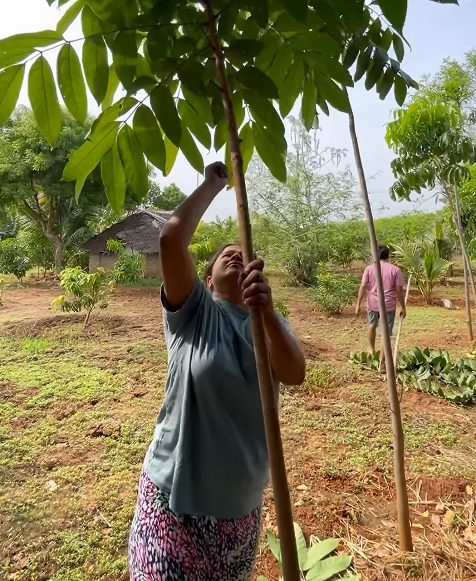 சொந்த தோட்டத்தில் மனைவி கன்னிகா உடன் பராமரிப்பு பணிகளை மேற்கொள்ளும் சினேகன் 5