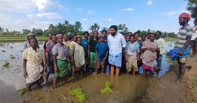 சொந்த வயலில் இன்று நடவு பணியை தொடங்கிய நடிகர் சசிகுமார் 1