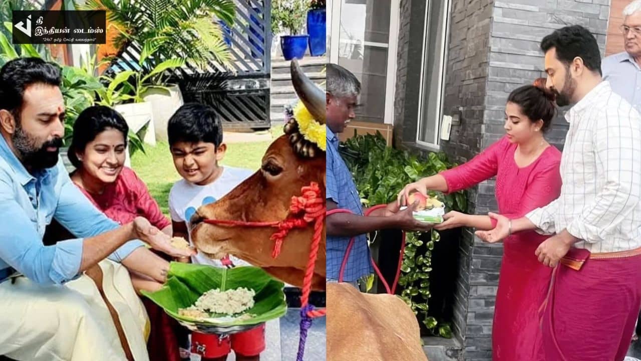 இன்று மாட்டுப்பொங்கல் கொண்டாடிய நடிகை சினேகா